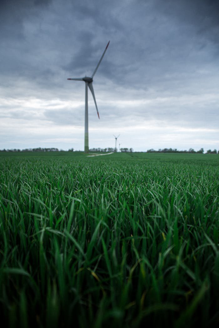 Wind Turbine on a Green Field
